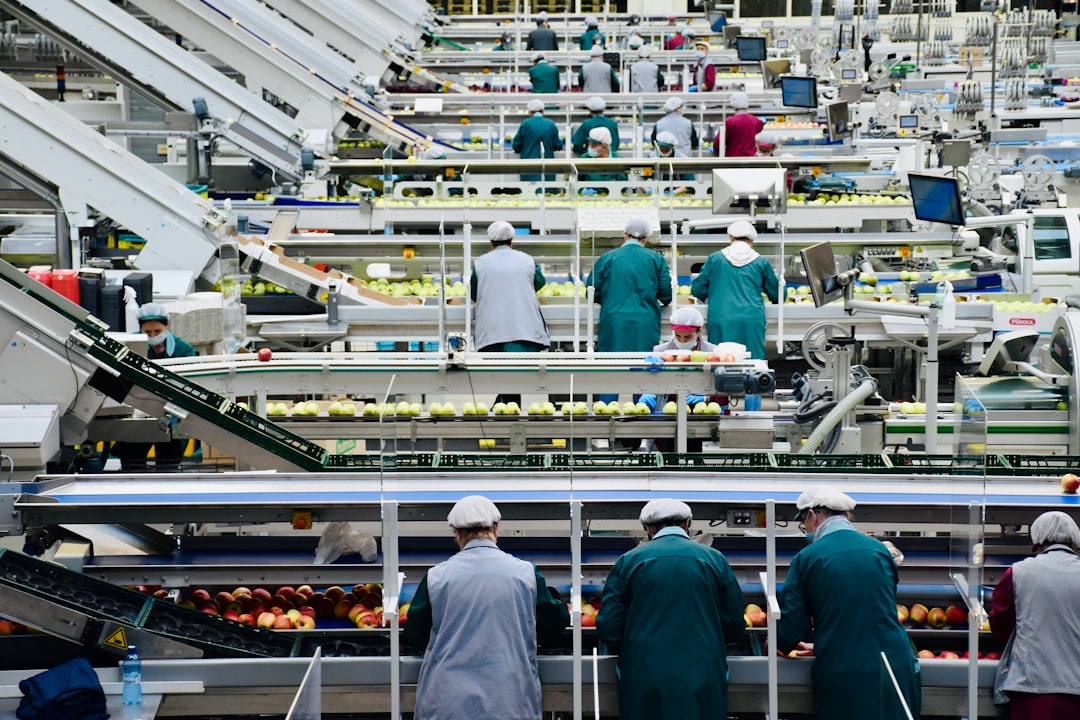 食品工厂的苹果加工生产线，食品加工行业场景示意